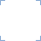 Connect with Our Team